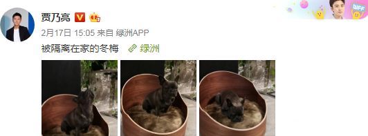 6ff10376aa440e046e7dab2fe704ab5d.png