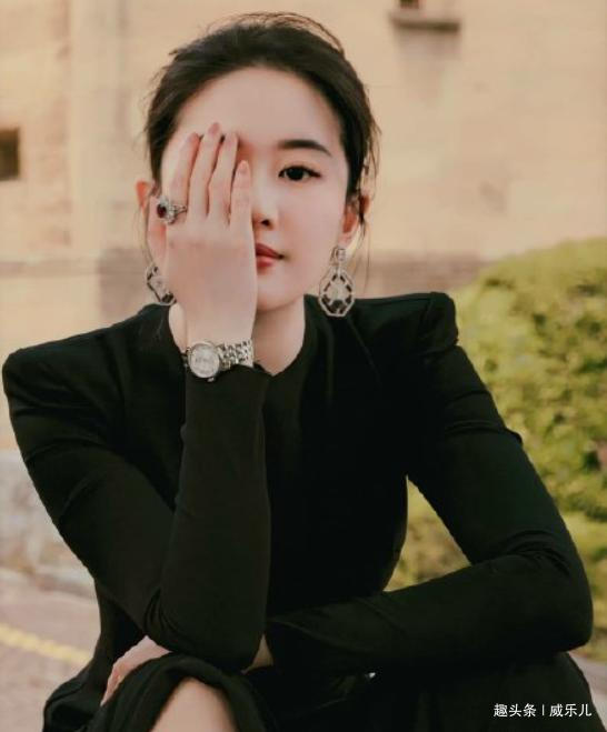 刘亦菲《花木兰》首映会全程说英语被骂，影片撤档网友纷纷叫好