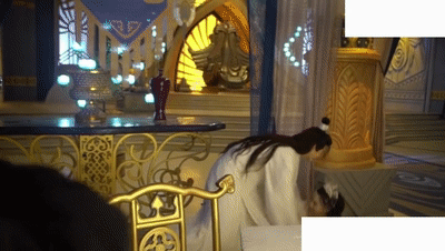 5.gif